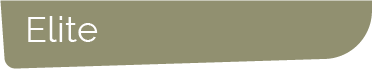 Logo DI-flag-elite